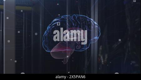 Image of network of connections and brain over server room Stock Photo