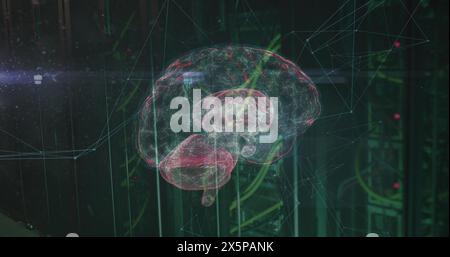 Image of network of connections and brain over server room Stock Photo