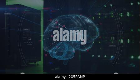 Image of network of connections and brain over server room Stock Photo