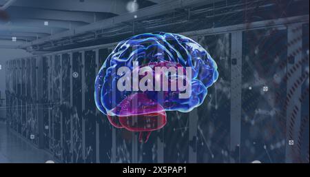Image of network of connections and brain over server room Stock Photo