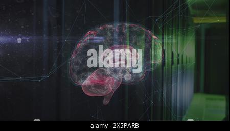 Image of network of connections and brain over server room Stock Photo