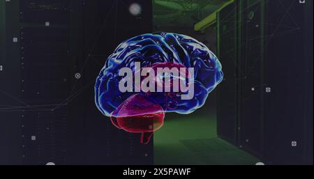 Image of network of connections and brain over server room Stock Photo