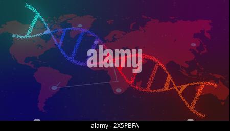 Image of dna strand spinning and connections over world map Stock Photo