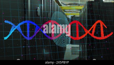 Image of dna strand with biometric fingerprint over computer servers Stock Photo
