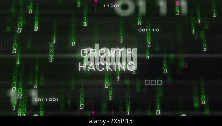 Image of growth hacking text with binary codes and circuit board pattern over black background Stock Photo