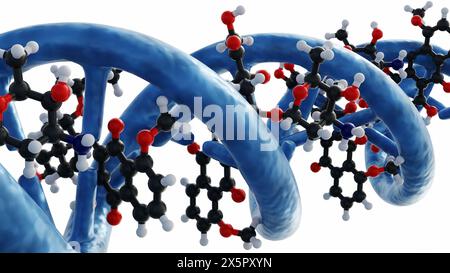 3d rendering of doxorubicin molecules intercalates DNA through the formation hydrogen bonds with guanines in adjacent GC base pairs Stock Photo