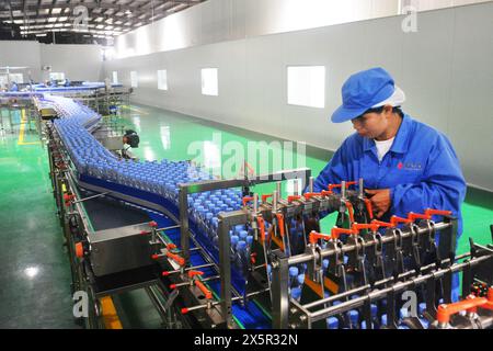 ANQING, CHINA - MAY 11, 2024 - A worker is working on a bottled water production line at a workshop of a beverage company in Anqing city, East China's Stock Photo