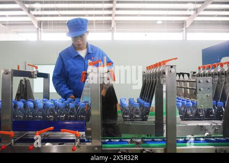 ANQING, CHINA - MAY 11, 2024 - A worker is working on a bottled water production line at a workshop of a beverage company in Anqing city, East China's Stock Photo