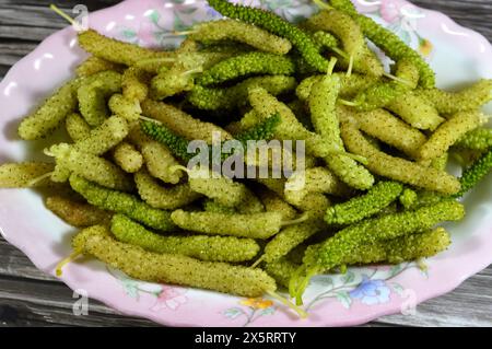 White Shahtoot Mulberry fruits, Long Morus nigra or alba edible fruit, Called also toot, superior mulberries, Morus is a genus of 10–16 species of tre Stock Photo