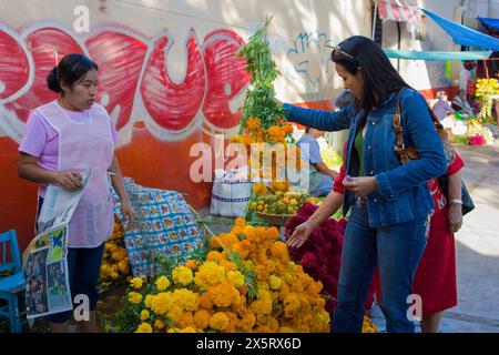 Oaxaca, Mexico, North America.  Buying Marigolds for Day of the Dead Celebrations.  Marigolds are a traditional flower used to honor the dead. Stock Photo