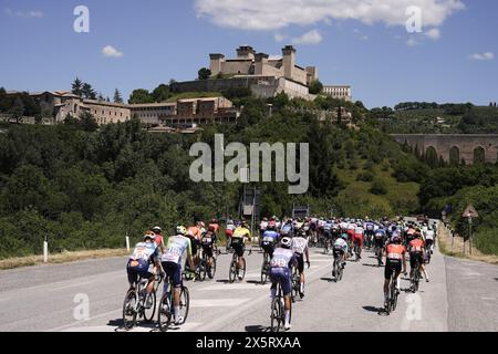 Italia. 11th May, 2024. The pack rides cycles during the stage 8 of the of the Giro d'Italia from Spoleto to Prati di Tivo, 11 May 2024 Italy. (Photo by Fabio Ferrari/LaPresse) Credit: LaPresse/Alamy Live News Stock Photo