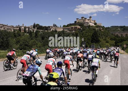 Italia. 11th May, 2024. The pack rides cycles during the stage 8 of the of the Giro d'Italia from Spoleto to Prati di Tivo, 11 May 2024 Italy. (Photo by Fabio Ferrari/LaPresse) Credit: LaPresse/Alamy Live News Stock Photo