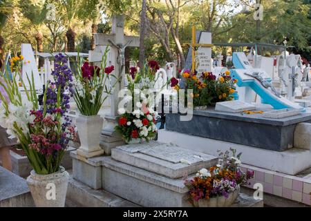 Oaxaca; Mexico; North America.  Day of the Dead Celebration.  Decorated Graves, San Miguel Cemetery. Stock Photo