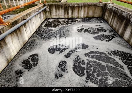 sorting container basins at a domestic water purification and treatment station Stock Photo