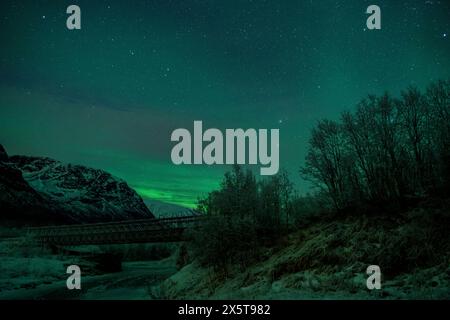 Northern lights over snowy mountains, Tromso, Norway Stock Photo