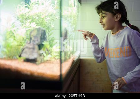 Little girl looking at aquarium Stock Photo