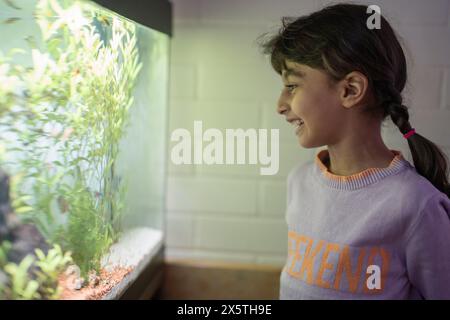 Little girl looking at aquarium Stock Photo