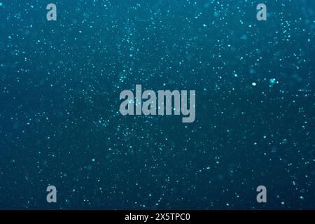 natural dust particles flow in air on a blue background. High quality photo Stock Photo