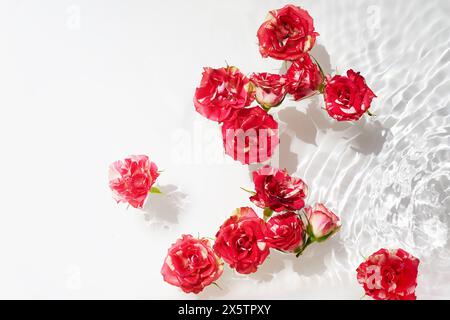 Spa, cosmetic background. Floating Pink Roses in Sparkling Water. Floating Red Roses on Water with Rippling Effect Stock Photo