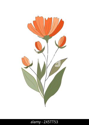 Orange wild flower hand drawn vector art  Stock Vector