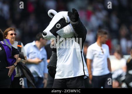 Craven Cottage, Fulham, London, UK. 11th May, 2024. Premier League Football, Fulham versus Manchester City; -Fulham mascot Billy the Badger thanking the fans during an end of season lap of appreciation Credit: Action Plus Sports/Alamy Live News Stock Photo