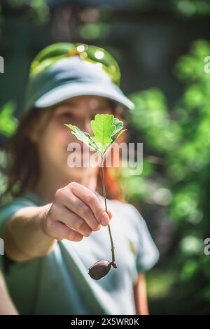 A girl holds an acorn in her hands, from which a young oak grows Stock Photo