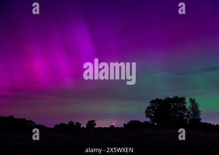 The Northern lights or the Aurora Borealis gives a spectacular display in the New Forest Hampshire England alongside a waxing crescent moon. Stock Photo