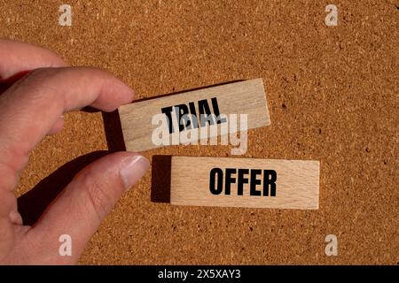 Trial offer written on wooden blocks with brown background. Conceptual trial offer symbol. Copy space. Stock Photo