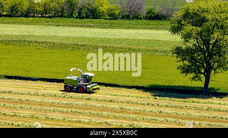 A striking aerial image capturing a farming harvester actively working in the lush green fields, contrasting freshly cut rows against vibrant standing Stock Photo