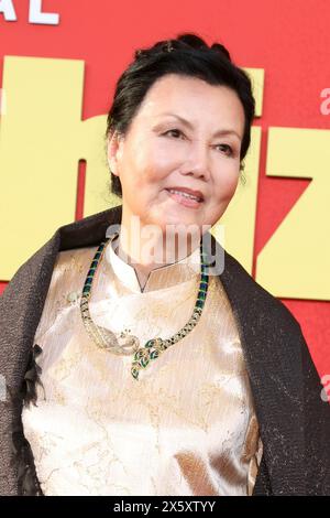 The Sympathizer HBO Premiere Screening at the Paramount Theater on April 9, 2024 in Los Angeles, CA Featuring: Kieu Chinh Where: Los Angeles, California, United States When: 10 Apr 2024 Credit: Nicky Nelson/WENN Stock Photo