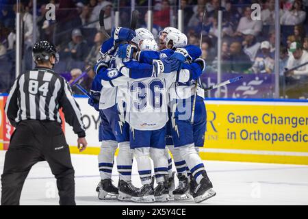 May 10th, 2024: Syracuse Crunch players celebrate a goal in the third period against the Rochester Americans. The Rochester Americans hosted the Syracuse Crunch in Game 5 of the American Hockey League Northeast Division Semifinals at Blue Cross Arena in Rochester, New York. (Jonathan Tenca/CSM) Stock Photo