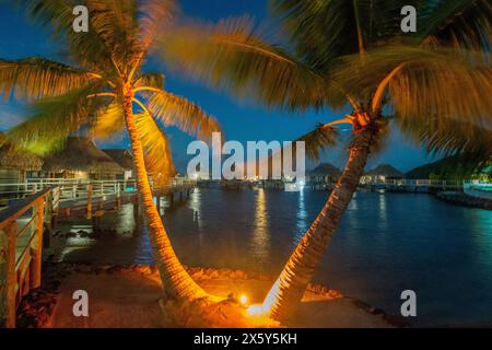 Illiminated Bungalows on stilts and palmtrees in the evening, Manava Beach Resort, Moorea, Society Islands, French Polynesia Stock Photo