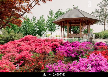 Japanese garden in Krasnodar park. Traditional asian park, blossom flowers Stock Photo