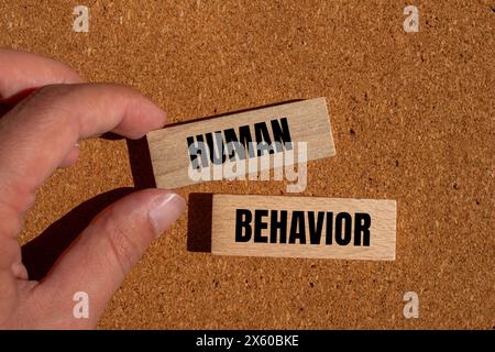 Human behavior words written on wooden blocks with brown background. Conceptual human behavior symbol. Copy space. Stock Photo