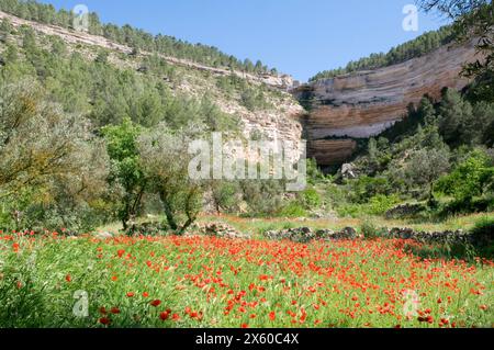 Landscape. Hoz del Jucar, Albacete province, Castilla La Mancha, Spain. Stock Photo