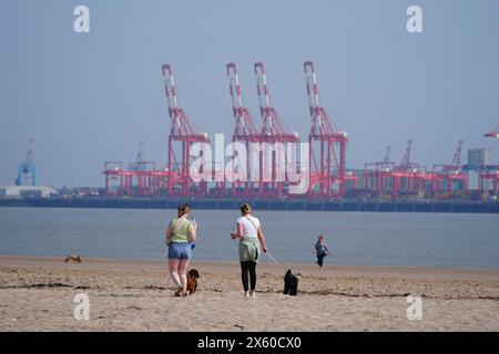 People walking dogs on New Brighton Beach on the Wirral, Merseyside. Picture date: Sunday May 12, 2024. Stock Photo