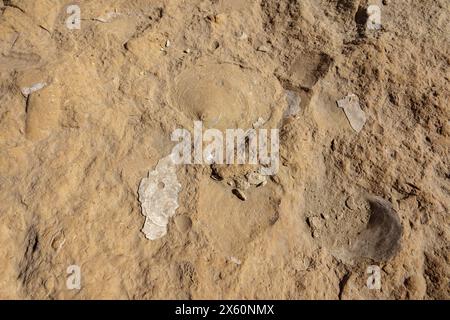 The Sun Temple of Niuserre at Abu Ghurob, near Abu Sir, Cairo, Egypt Stock Photo