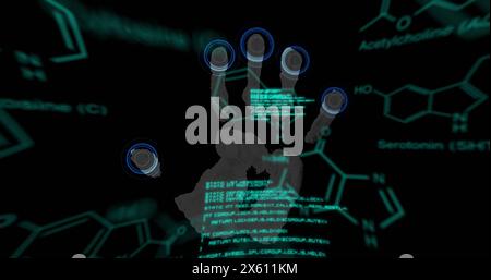 Image of data processing over biometric handprint Stock Photo