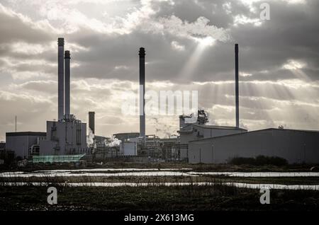 Kemsley paper mill, Sittingbourne, Kent.  Kemsley is the largest mill processing recycles paper in the UK, and the second largest in Europe Stock Photo