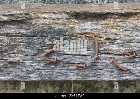 close-up of old rusty nails on dirty wooden plank, aged weathered iron or steel nails exposed to moisture and oxidized, flat lay with copy space Stock Photo
