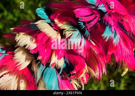 Multi-coloured feather duster Stock Photo