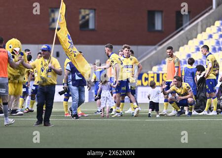 Sint Truiden, Belgium. 12th May, 2024. STVV's players celebrates after winning a soccer match between Sint-Truidense VV and KV Mechelen, Sunday 12 May 2024 in Sint-Truiden, on day 8 (out of 10) of the Europe Play-offs of the 2023-2024 'Jupiler Pro League' first division of the Belgian championship. BELGA PHOTO JOHAN EYCKENS Credit: Belga News Agency/Alamy Live News Stock Photo