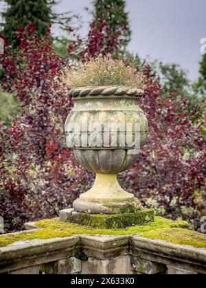 Lichen-covered stone urn sitting atop a moss-covered wall in the gardens of Newby Hall, North Yorkshire, UK Stock Photo