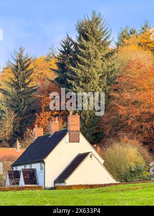 White cottage, nestled against a hill in the foreground with the autumn-coloured backdrop of Dalby Forest. North Yorkshire, UK Stock Photo