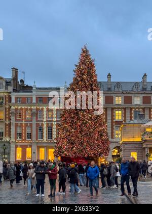 Christmas tree at Covent Garden, at dusk. London. Stock Photo