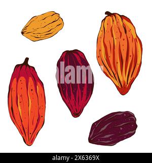 Set of cocoa beans and leaves. Hand drawn illustration in flat style isolated on white background. Organic product. Sketch for cafe, packaging, menu. Stock Photo