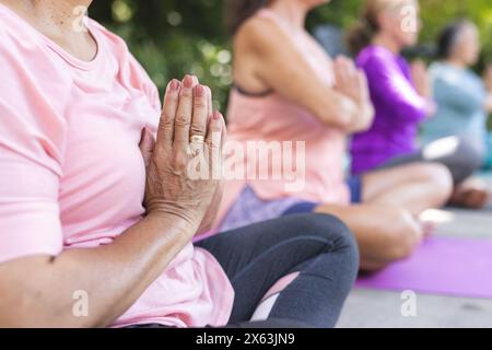 Outdoors, diverse senior female friends practicing yoga Stock Photo