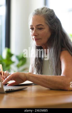 At home, mature caucasian woman with grey hair using laptop Stock Photo