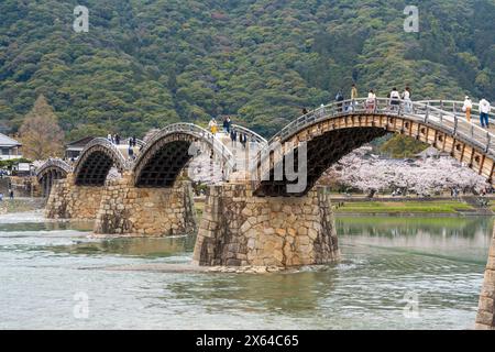 Yamaguchi Prefecture, Japan - April 5 2024 : People enjoy cherry blossoms along the Nishiki River bank. Iwakuni Kintai Bridge Sakura festival. Stock Photo