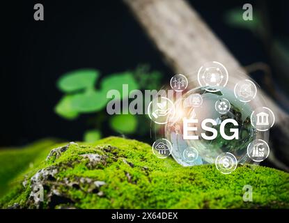 Environmental, social, and corporate governance, environment sustainable for save earth concept. ESG acronym surrounded with circulsr ESG element icon Stock Photo